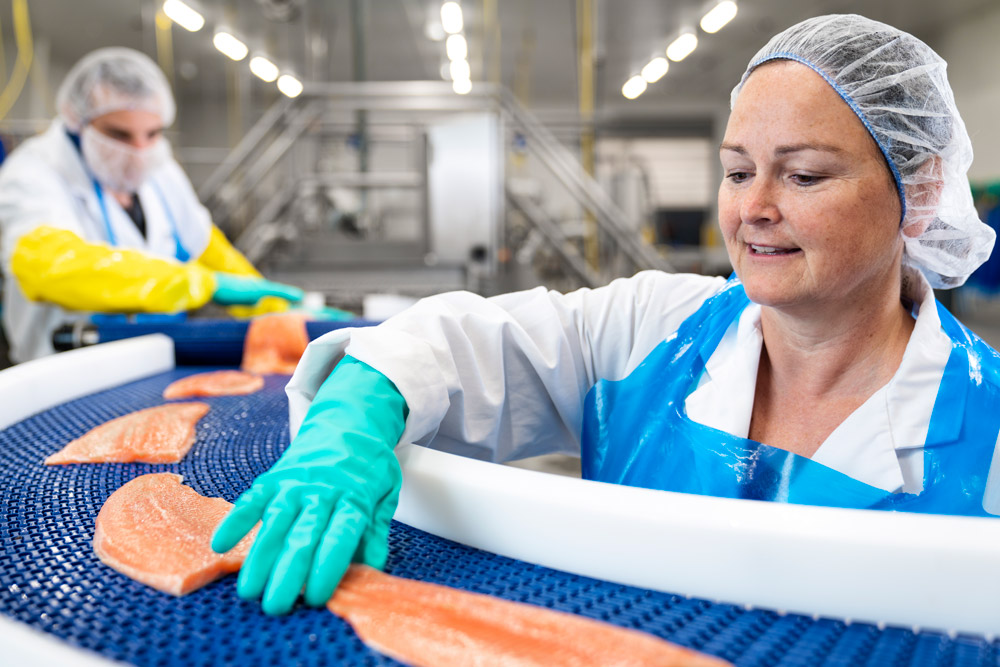 a worker checking the quality of the rainbow trout during the quality control stage