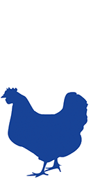 chicken icon